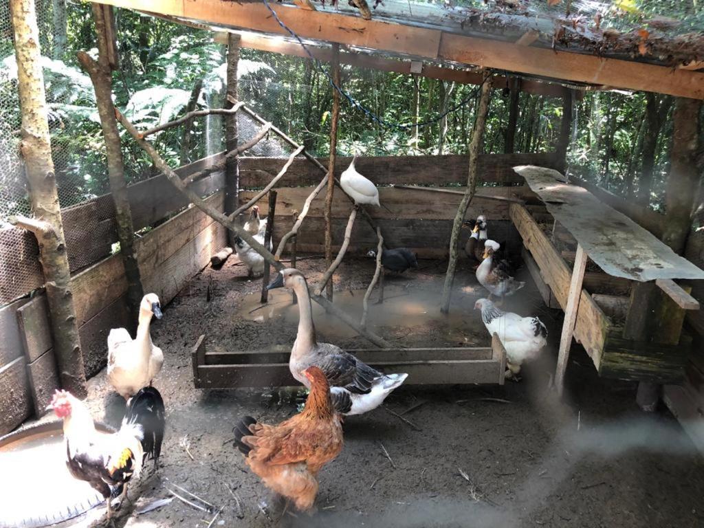 Casa de Férias - Chácara - Lagoa Dos Encantos Barra Velha (Santa Catarina)